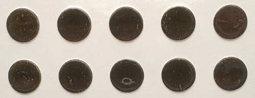 Biodot®.info - Biodot®